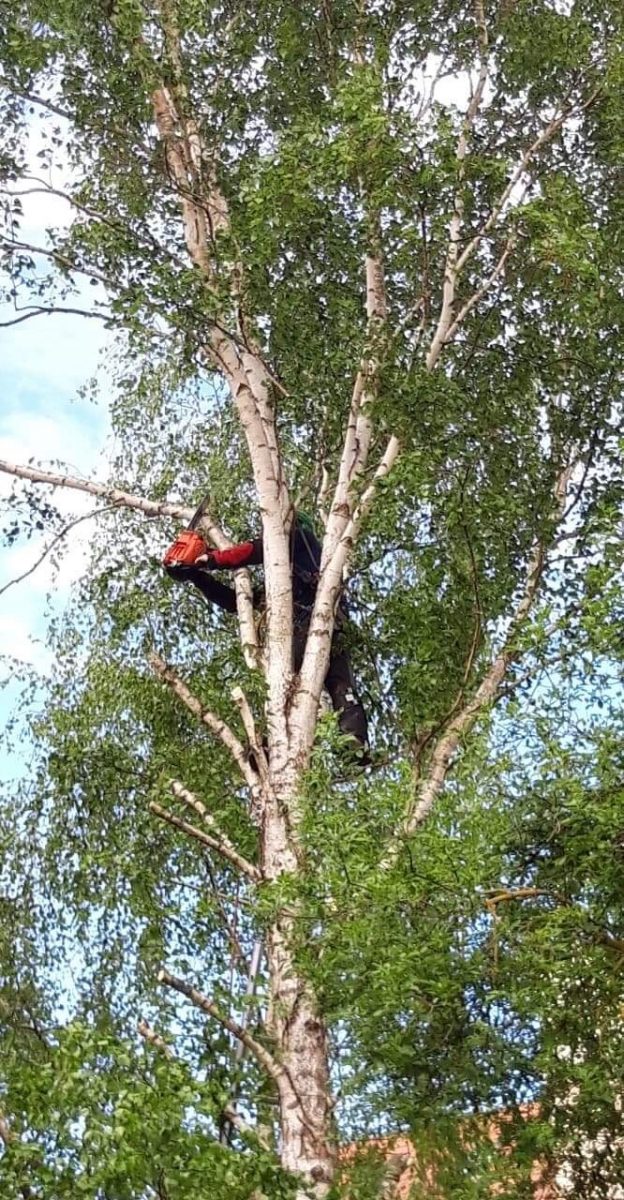 Photos page d&#8217;accueil Wittenheim 4