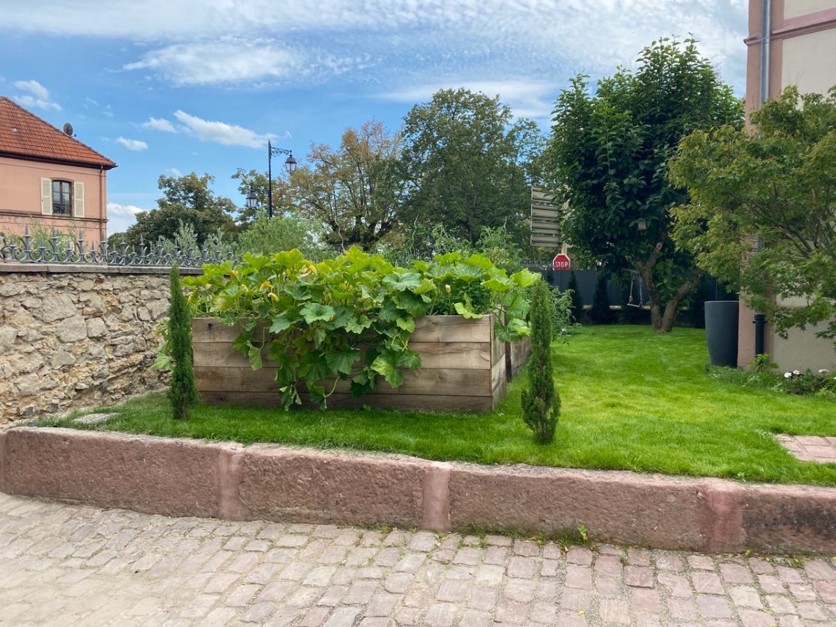 Photos page d&#8217;accueil Rixheim 7