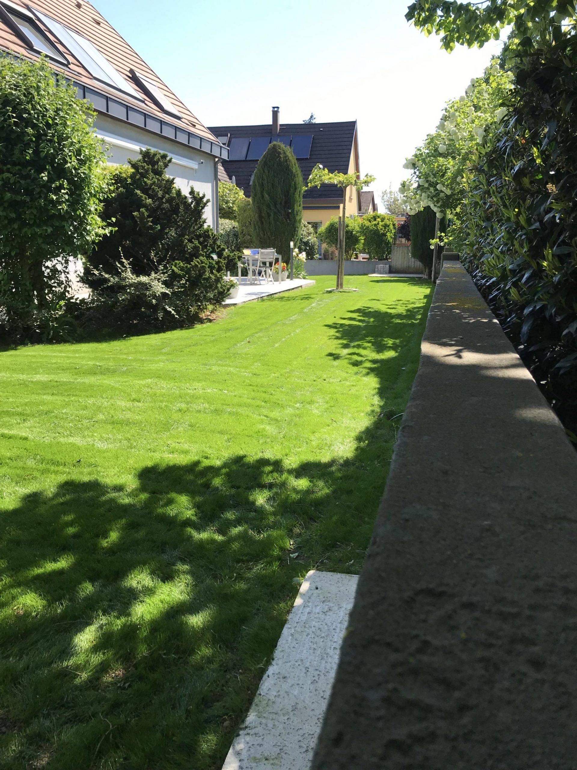 Élagage, Abattage Arbre et Taille Haie Colmar