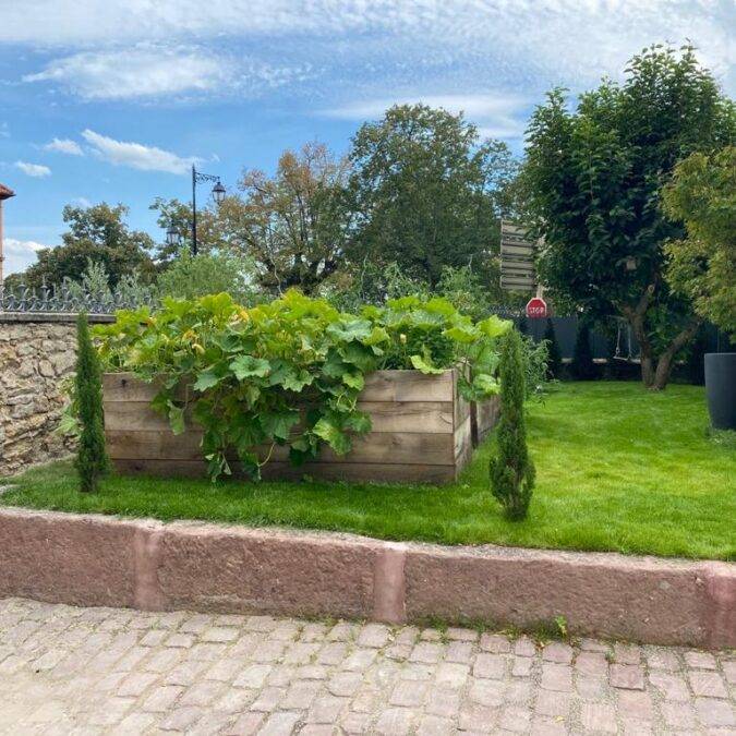 Entretien de jardin Mulhouse 1